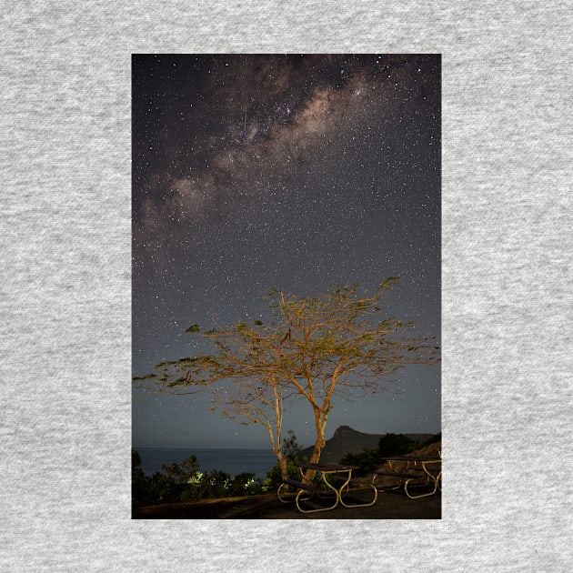 The One Tree at One Tree Hill by krepsher